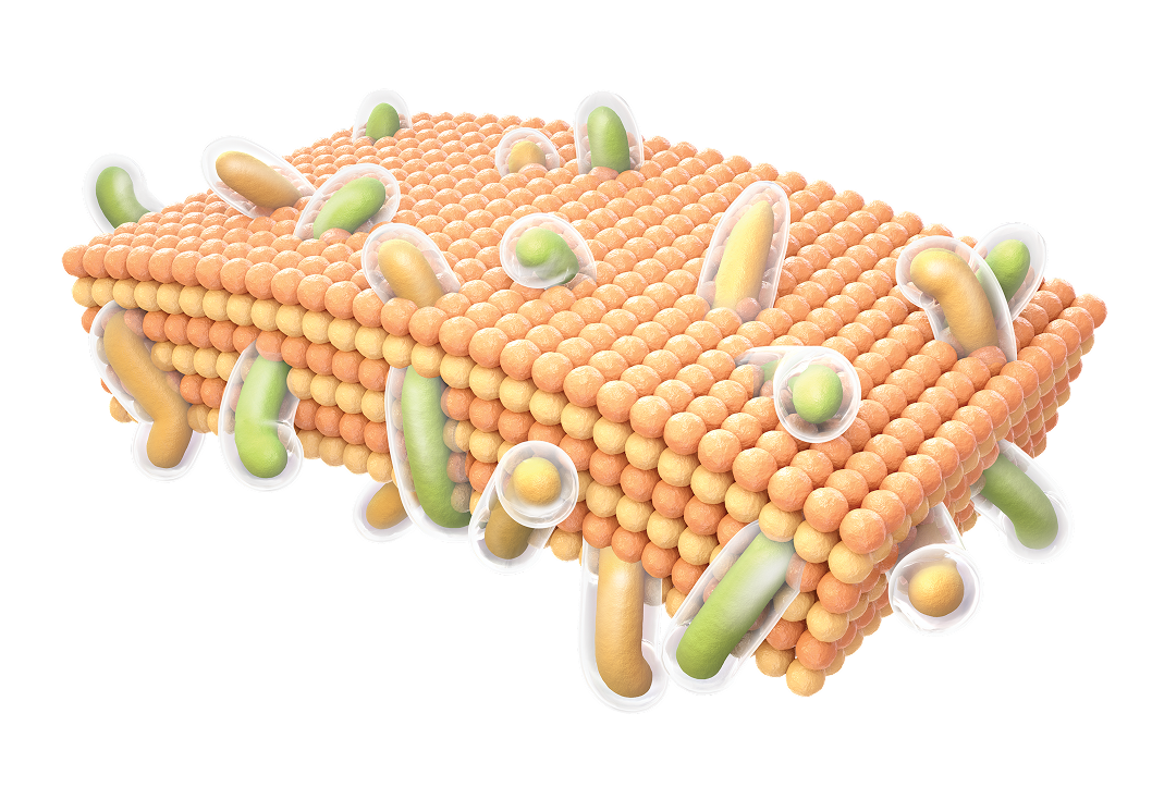 3D Matrix