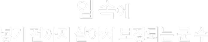 입 속에 넣기 전까지 살아서 보장되는 균수