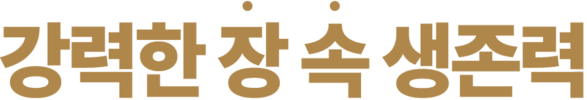 강력한 장 속 생존력