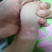 포토리뷰