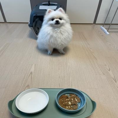 포토리뷰
