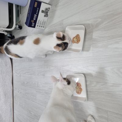 포토리뷰