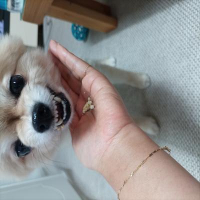 포토리뷰