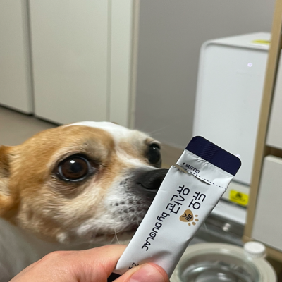 포토리뷰