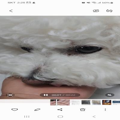 포토리뷰