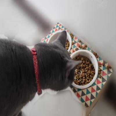 포토리뷰
