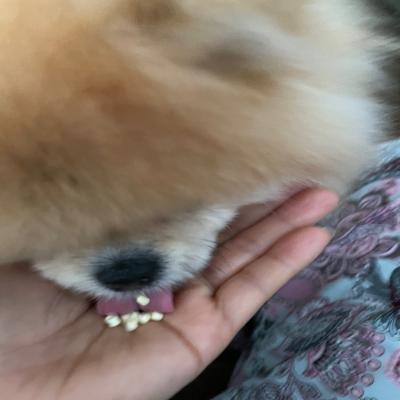 포토리뷰