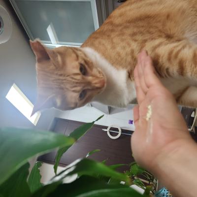 포토리뷰