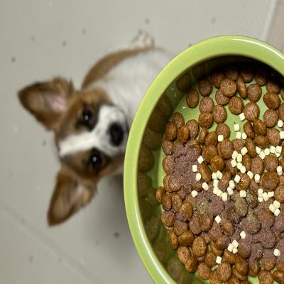 포토리뷰