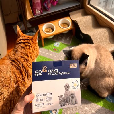 포토리뷰