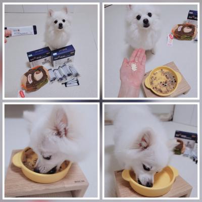 포토리뷰