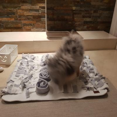 포토리뷰