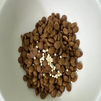 포토리뷰