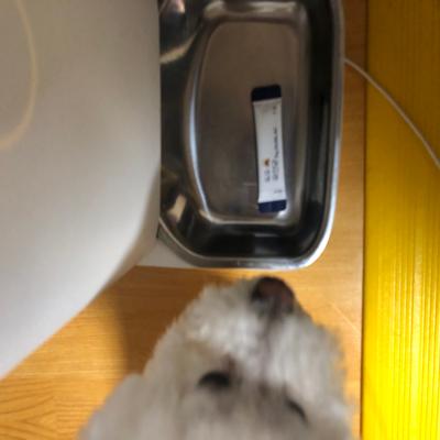 포토리뷰